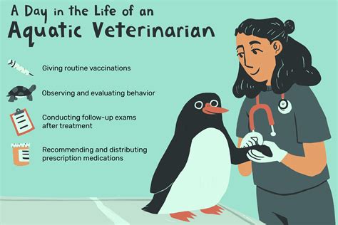 aquatic vet near me|Aquatic Veterinarian Job Description: Salary, Skills, & More.